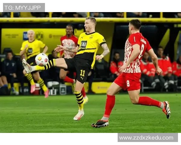 德甲精彩对决切尔西逆转多特蒙德全场沸腾瞬间回顾